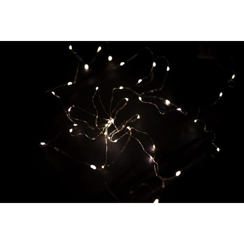 NEXOS LED osvetlenie strieborný drôt, 40 LED, teplá biela
