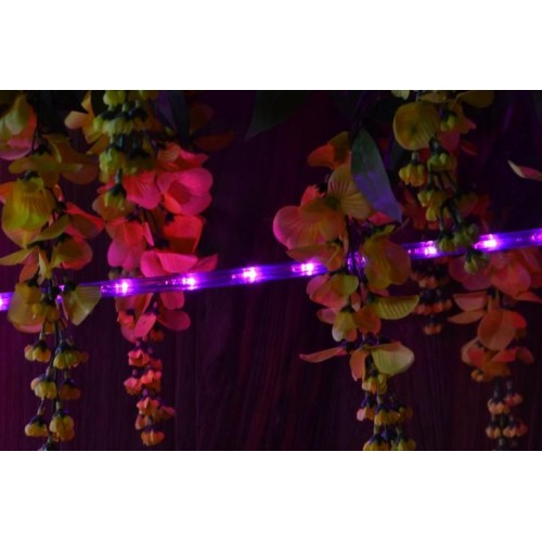 NEXOS LED svetelný kábel 10 m, 240 LED diód, ružový