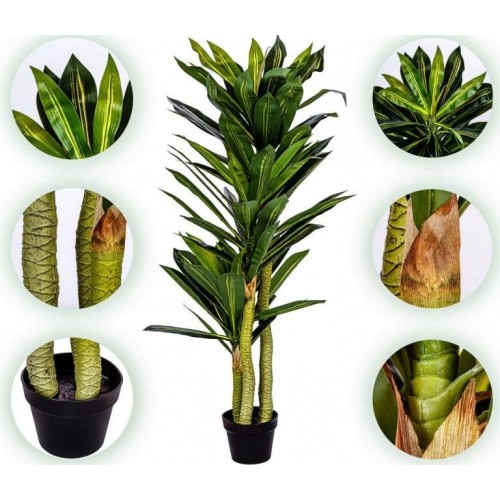 PLANTASIA umelý strom Dracaena 120 cm, 81 listov