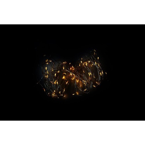 NEXOS LED osvetlenie strieborný drôt, 40 LED, teplá biela
