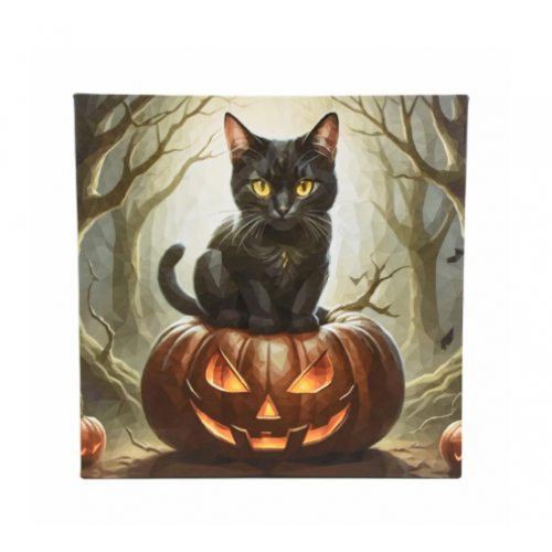 Nástenná maľba mačka na tekvici, 4 LED, 40 x 40 cm