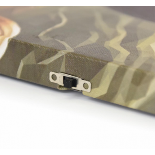 Nástenná maľba mačka na tekvici, 4 LED, 40 x 40 cm